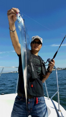 ＪＤＩ　Ｒａｃｉｎｇ　シールズマリンレジャー 釣果