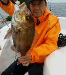 ＪＤＩ　Ｒａｃｉｎｇ　シールズマリンレジャー 釣果