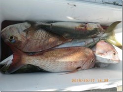 からこと丸 釣果