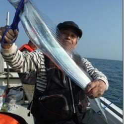 からこと丸 釣果