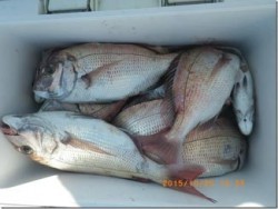 からこと丸 釣果