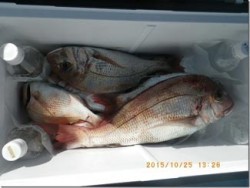 からこと丸 釣果