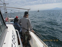 遊漁船 未紗奈 釣果