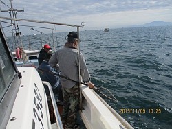 遊漁船 未紗奈 釣果