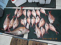 遊漁船 未紗奈 釣果