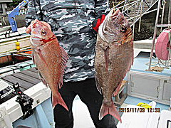遊漁船 未紗奈 釣果