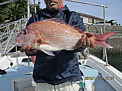 遊漁船 未紗奈 釣果