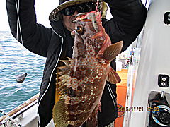 遊漁船 未紗奈 釣果