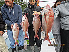 遊漁船 未紗奈 釣果