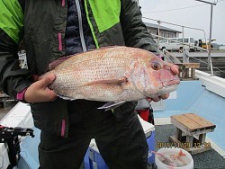 遊漁船 未紗奈 釣果
