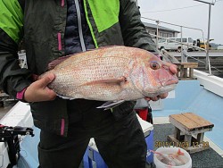 遊漁船 未紗奈 釣果