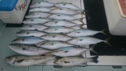 エムズジャーク（M's JERK…