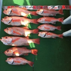 第二隆星丸 釣果