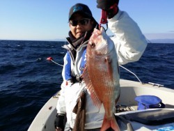 鯛多ニック 釣果