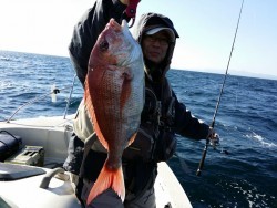 鯛多ニック 釣果