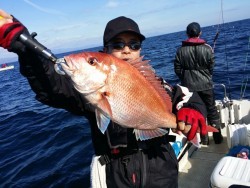 鯛多ニック 釣果