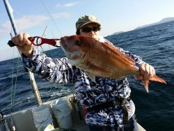 鯛多ニック 釣果