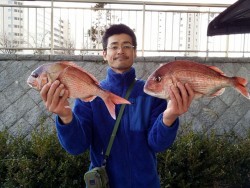 鯛多ニック 釣果