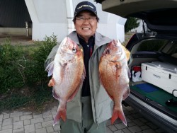 鯛多ニック 釣果