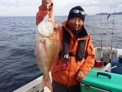 鯛多ニック 釣果