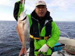 鯛多ニック 釣果