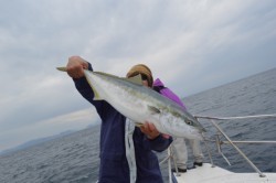 ジギング船 BLUEWATER 釣果