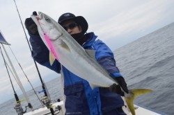 ジギング船 BLUEWATER 釣果