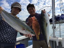 オーシャンキッズ 釣果