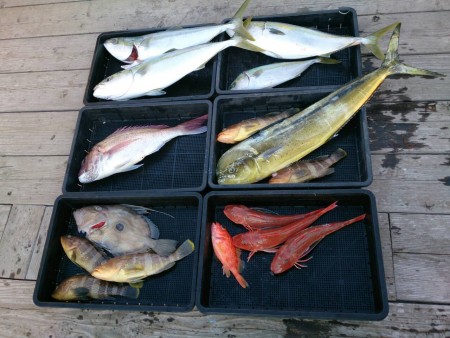 長久マリン（レンタルボート）釣果報告