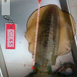 連休釣行１日目