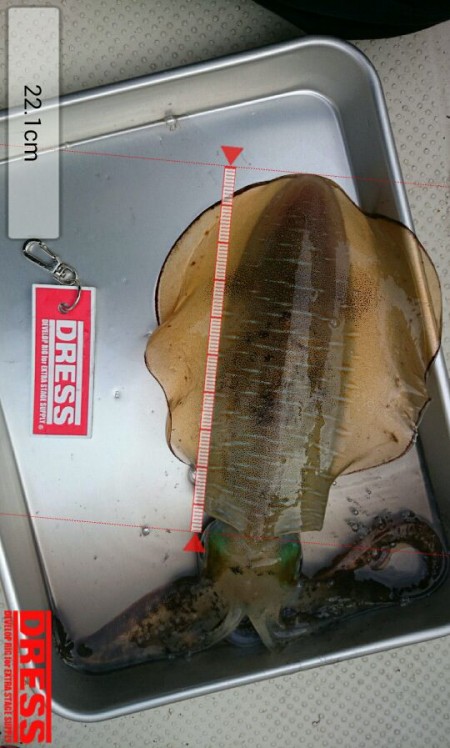 連休釣行１日目