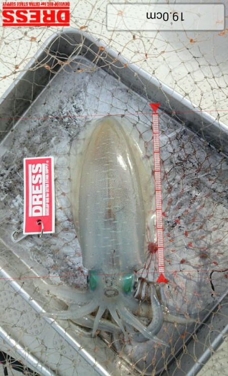 ３連休２日目！