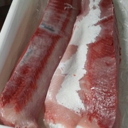 ジギング乗り合い