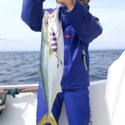 御座沖～神ノ島周辺釣果報告