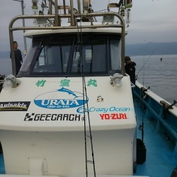 タルイカ狙うもサゴシのみ