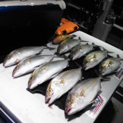 泰斗丸ジギング