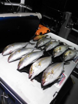 泰斗丸ジギング