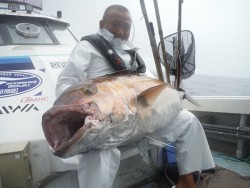 オーシャンパイオニア 釣果