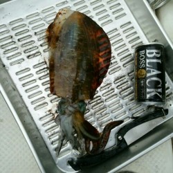 波高いボートエギング