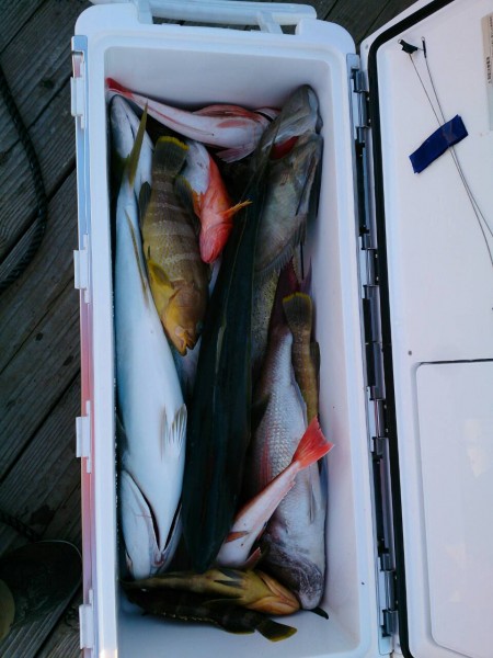 長久マリン（レンタルボート）釣果報告