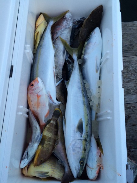 神ノ島周辺釣果報告(マイボート釣行)