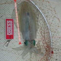 連休釣行１日目