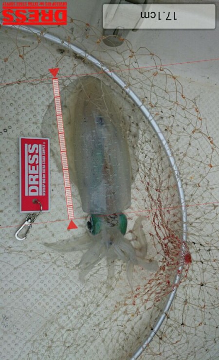 連休釣行１日目