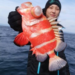 御座沖～神ノ島周辺釣果報告