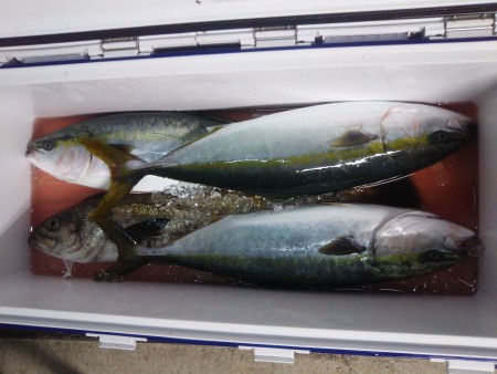 プレジャーにて白石