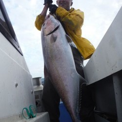 オーシャンパイオニア 釣果