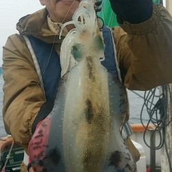 釣福丸 釣果