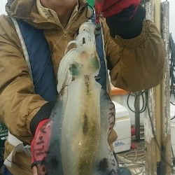 釣福丸 釣果