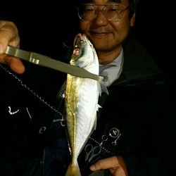 釣福丸 釣果