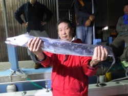 Hit Rush(ヒット ラッシュ） 釣果